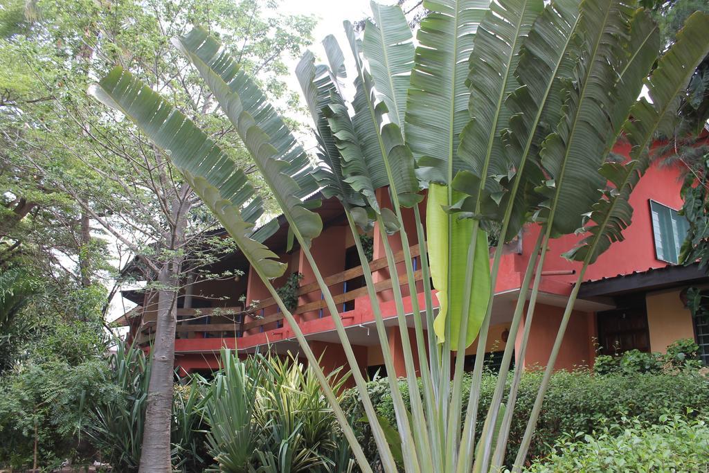 Hotel Napoleon Lagune Lome Bagian luar foto
